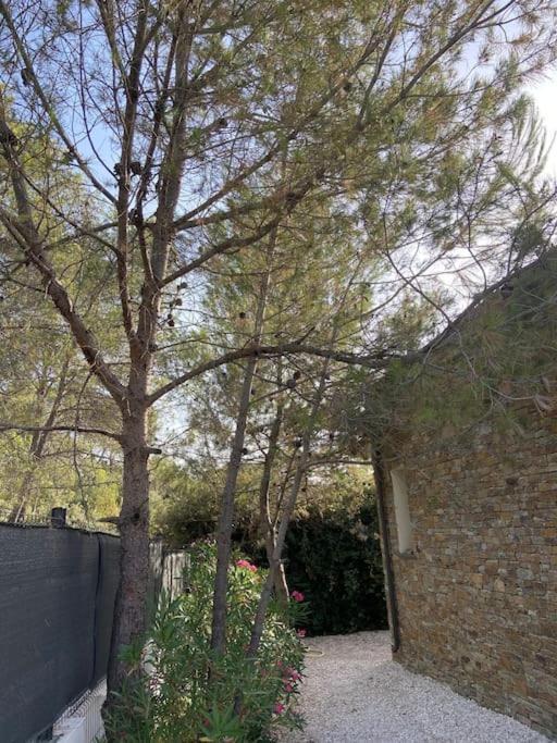 Maison Proche Du Pic Saint Loup Dış mekan fotoğraf